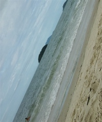 Guillermina I. Vera Sosa