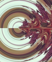 Viviana Werenczuk Gonzalo