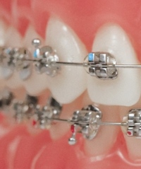 Julio Fernando Monllor