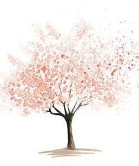 Carolina Guerra Gandolphi