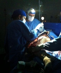 Victor Jorge Guerreiro