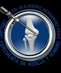 Alejandro Hernandez Frias