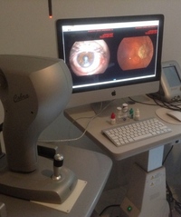 Wilfrido Noble Monterrubio