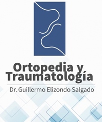 Guillermo Elizondo Salgado