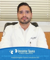 Moisés Alberto Mendoza Sotelo