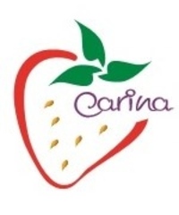 Carina Balderas Camacho