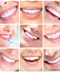 José Antonio Hernández estrada