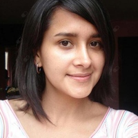 Lourdes Diestra Garcia