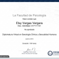 Acercar imagen: certificate 9