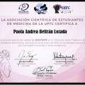 Acercar imagen: certificate 13