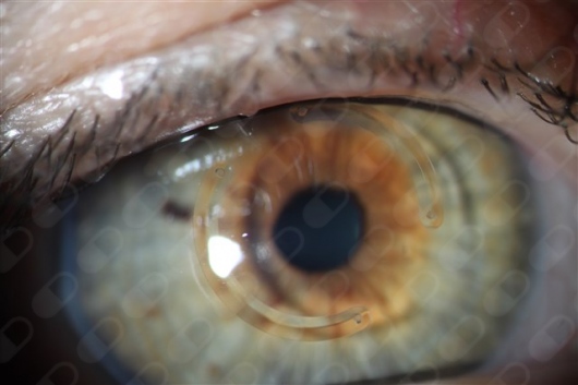 Vivian Liliana Vera Diaz-3