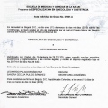 Acercar imagen: certificate 8