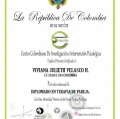 Acercar imagen: certificate 6