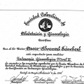Acercar imagen: certificate 1
