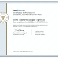 Acercar imagen: certificate 10