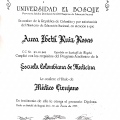 Acercar imagen: certificate 5