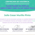 Acercar imagen: certificate 5