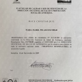 Acercar imagen: certificate 4
