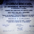 Acercar imagen: certificate 5