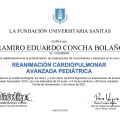 Acercar imagen: certificate 2