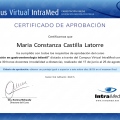 Acercar imagen: certificate 3