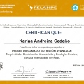 Acercar imagen: certificate 6