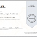 Acercar imagen: certificate 3