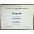 Acercar imagen: certificate 3
