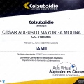 Acercar imagen: certificate 26