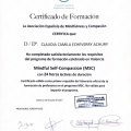 Acercar imagen: certificate 3