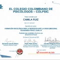 Acercar imagen: certificate 4
