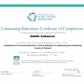 Acercar imagen: certificate 3