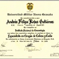 Acercar imagen: certificate 1
