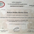 Acercar imagen: certificate 8