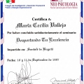 Acercar imagen: certificate 20