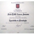 Acercar imagen: certificate 1