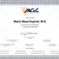 Acercar imagen: certificate 5