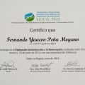 Acercar imagen: certificate 4