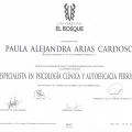 Acercar imagen: certificate 1