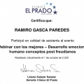 Acercar imagen: certificate 10