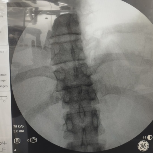 Andrés M. Gutierrez S.-2