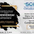 Acercar imagen: certificate 2