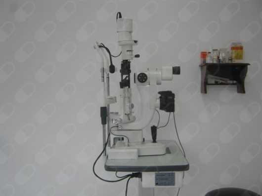 Vivian Liliana Vera Diaz-9