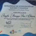 Acercar imagen: certificate 19