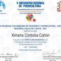 Acercar imagen: certificate 5