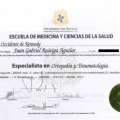 Acercar imagen: certificate 5