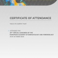 Acercar imagen: certificate 1