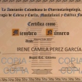 Acercar imagen: certificate 6