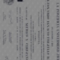 Acercar imagen: certificate 6