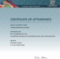 Acercar imagen: certificate 3